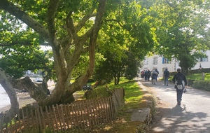 Sortie à L'Ile-Tudy le 24 Avril 2025