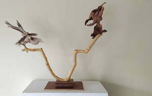 Notre ami randonneur expose