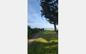 68318b9e65c9d_OpenRunner1747726895.jpg