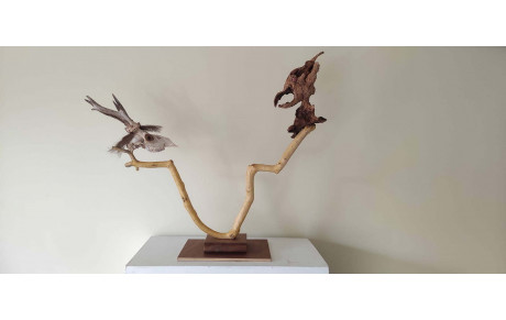 Notre ami randonneur expose