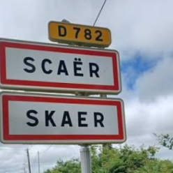 Sortie à la journée à Scaer